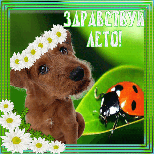 Не пытайтесь тревожить мою нервную систему. » Смешные Анекдоты Монеты, подарки к Дню рождения, юбилею, свадьбе, на память
