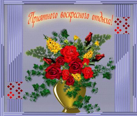 http://kniiekotija.ucoz.ru/_fr/2/s0305417.jpg